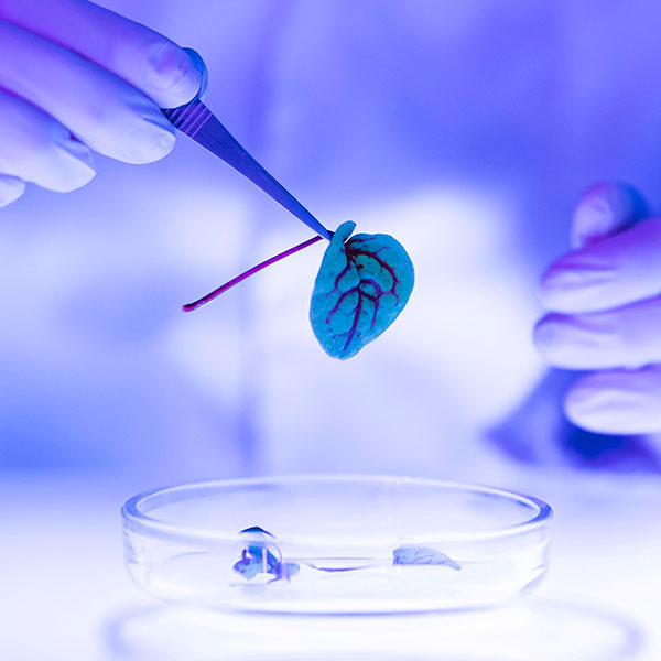 Advanced Laboratory Equipment