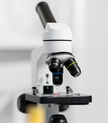 Biosimilar Development